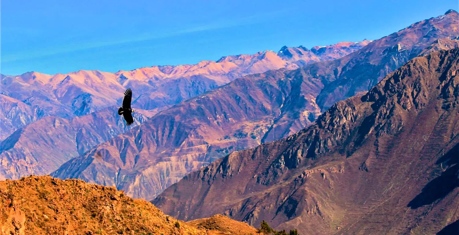 COLCA CAÑON EXPERIENCE