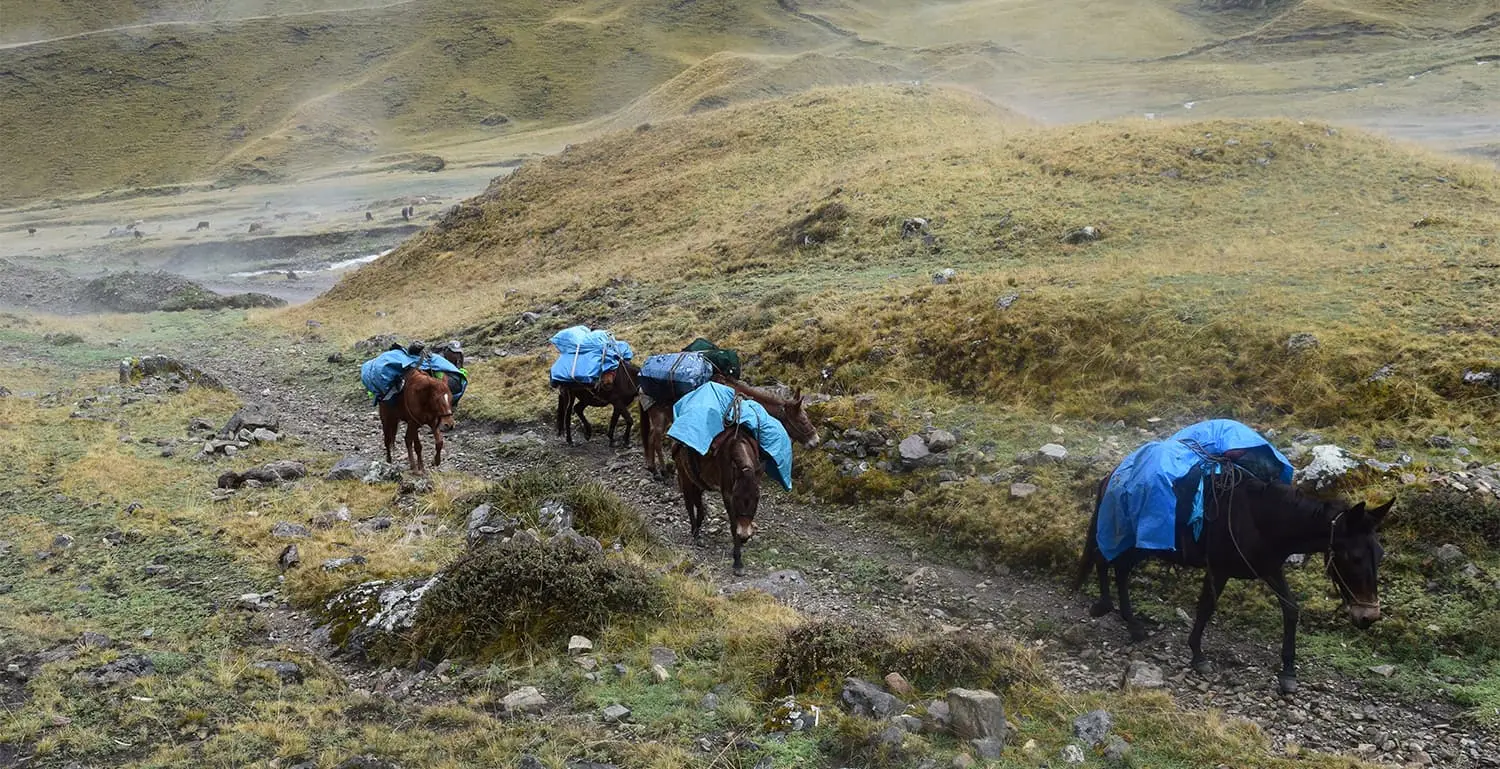 Choquequirao the last Inca City