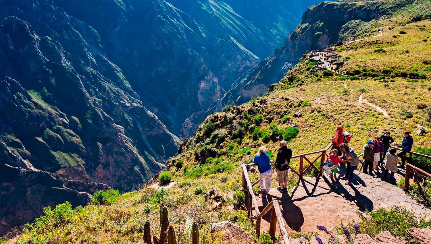 Colca Cañon Tour